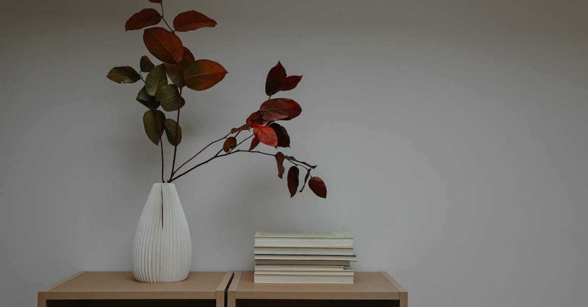 ミニマリストのシンプルな暮らしのイメージ