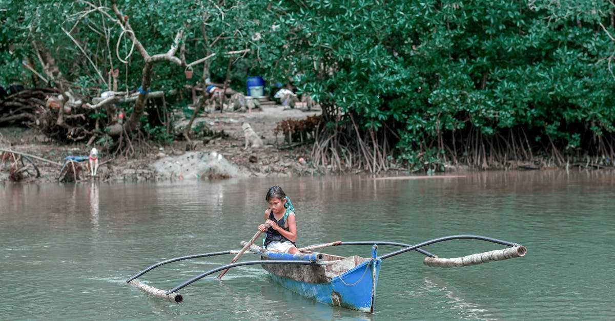 奄美のマングローブ林をカヌーで進む美しい景色