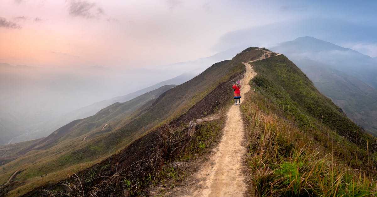賢明な選択をする様子