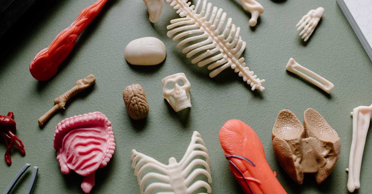 健やかな脳のイメージ